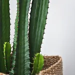 Salotto Brè - Charming Lugano