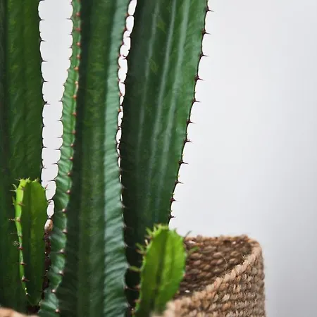 Salotto Brè - Charming Lugano